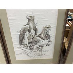 After Joan Beuche (South African 20th century) Eagles, set of six coloured prints (6)