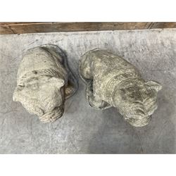 Pair of cast stone garden British bulldogs, on shaped plinths