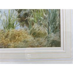 John Hodgson Campbell (British 1855-1927): A Calm Stream, watercolour signed and dated 1897, 37cm x 53cm 