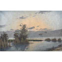 Gerard Brouwer (Dutch 1938-): Mallards in Flight, oil on canvas signed 59cm x 88cm 