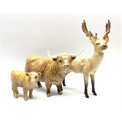 Collection of Beswick figures, comprising highland cow model no 1740, highland calf model no 1827d, and stag model no 981. 
