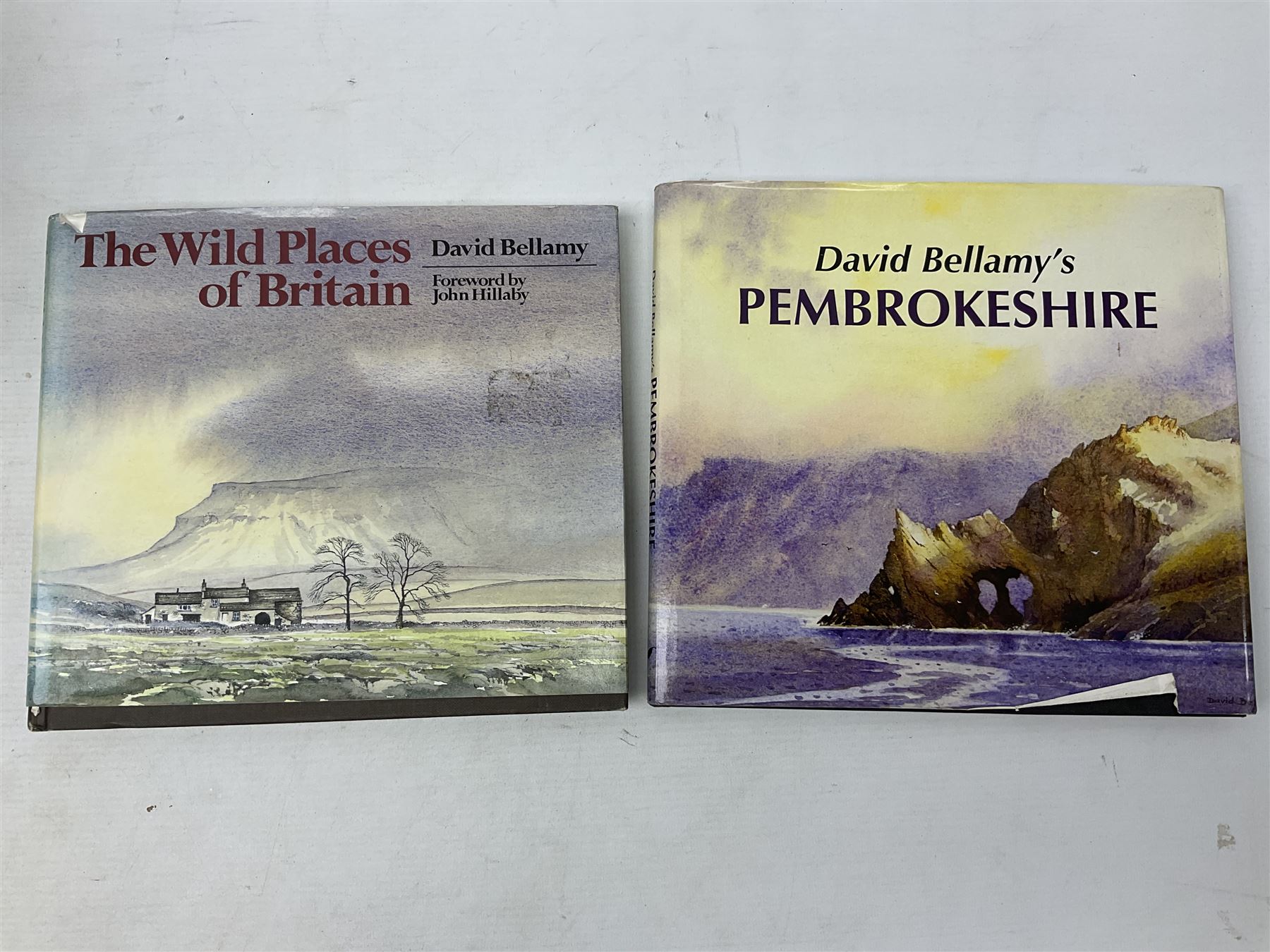 Eight books by David Bellamy on watercolour painting; and two bound volumes of Pennine Magazine 1981-84 (10)