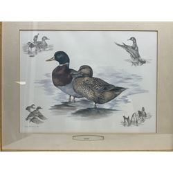 After Alan Ellison, limited edition colour print 'Working Springers' no.178/750 signed on the mount 43 x 59cm; and seven colour prints after Nigel Hemming of game birds and gun dogs; all framed (8)