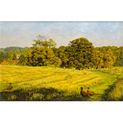  E Sweet: Cock Pheasants in a Cornfield, oil on board signed and dated 06 27cm x 41cm  