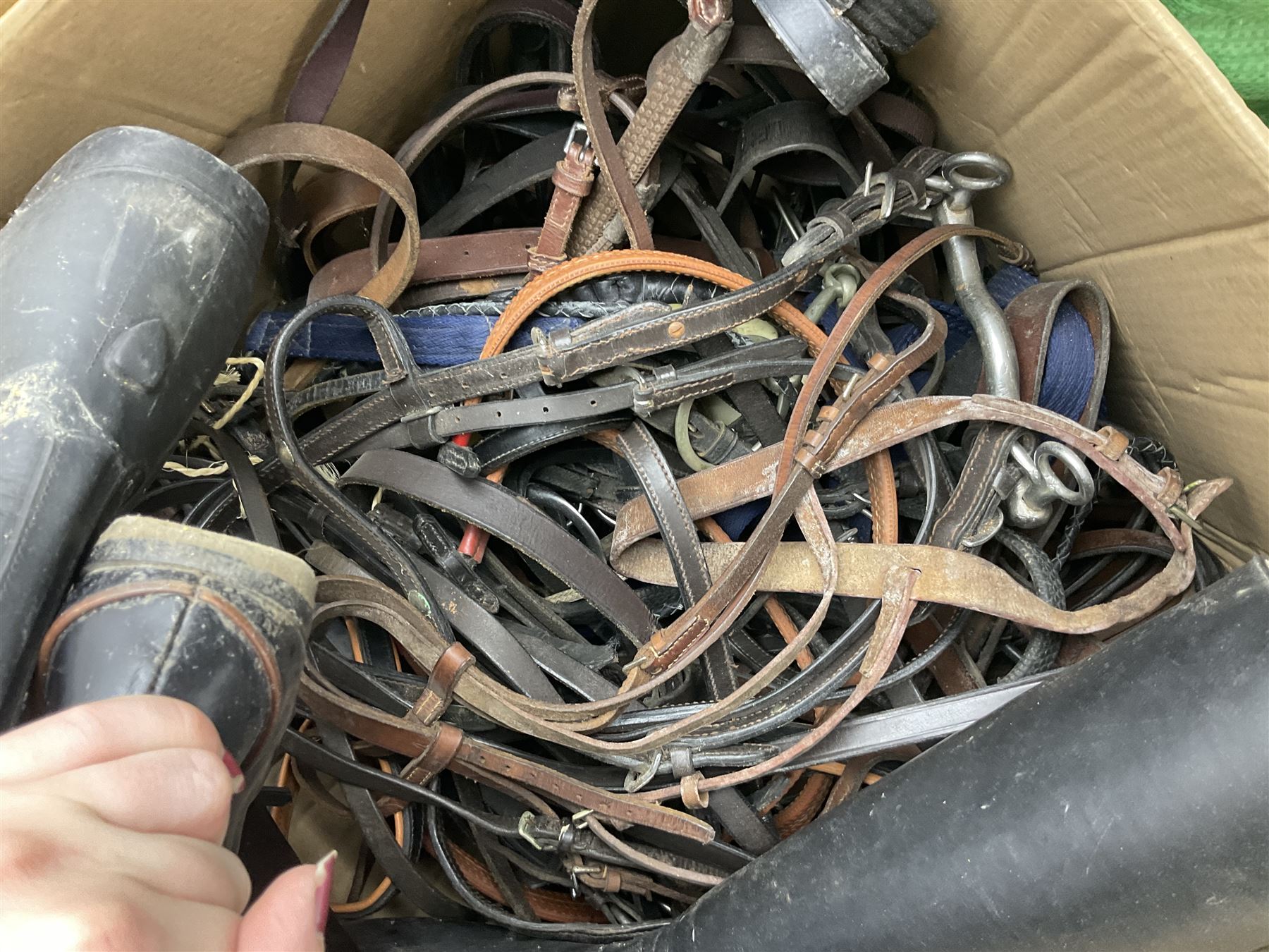 Quantity of horse tack to include bits, bridles, lunging equipment, brushing boots, tail guards, jodpa boots etc  