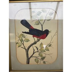 Pair of framed feather pictures depicting birds on branches, the first example showing an Oriole and the second example showing an Arlino, H62cm