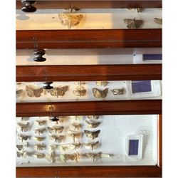 Entomology: Entomology Collectors Cabinet, housing a collection of approximately one thousand moths of the world specimens, a twenty drawer mahogany collectors cabinet, each draw with protective glass cover, enclosed within a fine quality flame mahogany cabinet with single hinged door, inside the door makers label reads 'J. Thorne cabinet maker ... insect cabinet and entomology boxes of every description made on the most improved principles and on the shortest notice', cabinet H122, W51cm D48cm, draw size D41cm, L43cm, H5cm 
