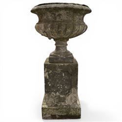 Pair of 20th century cast stone urns on plinths 