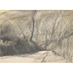 Peter Godfrey Coker RA (British 1926-2004): 'Near Cranham Hill' - Gloucestershire, graphit...