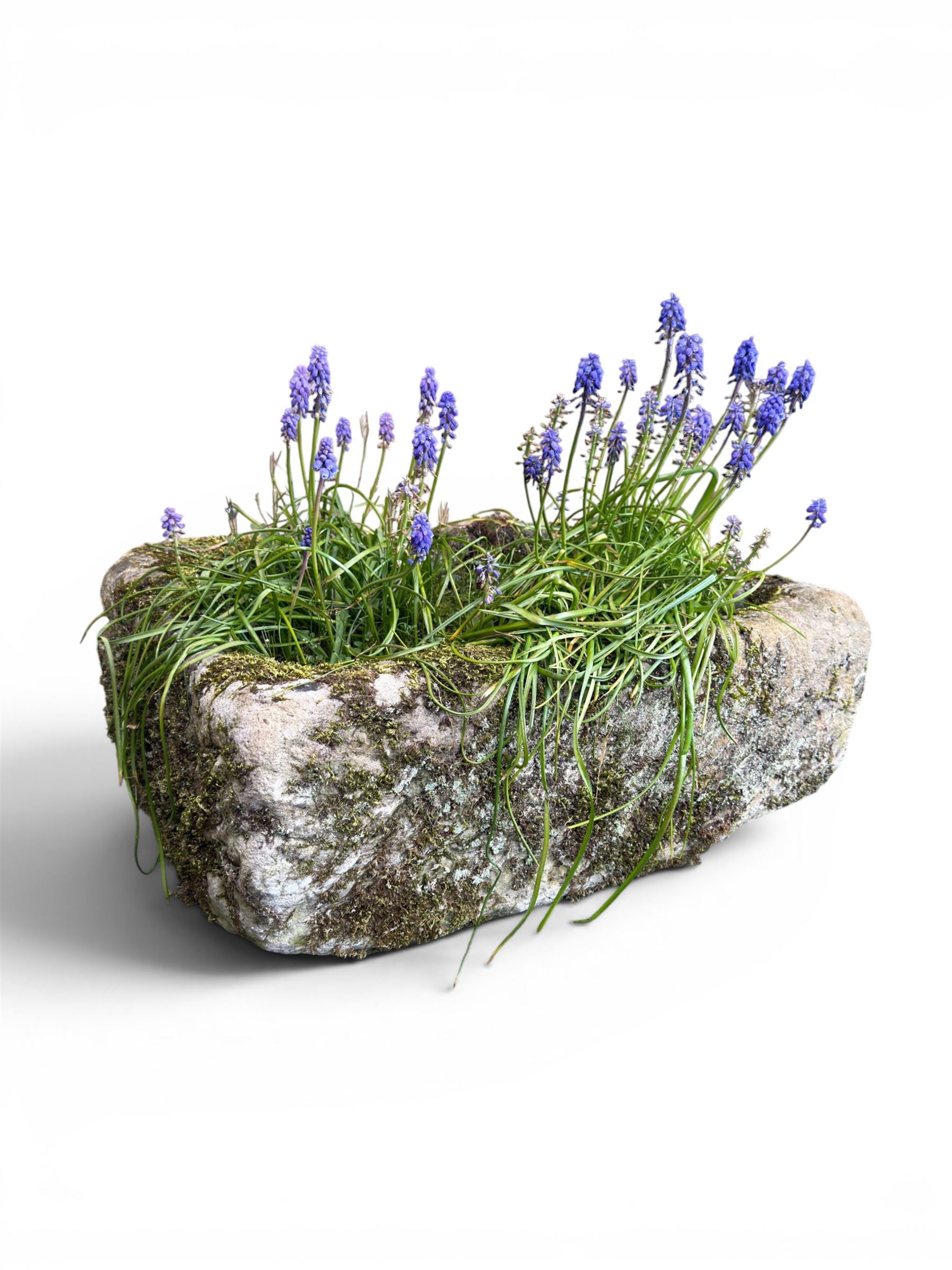 19th century weathered hewn stone planter of rectangular form, planted