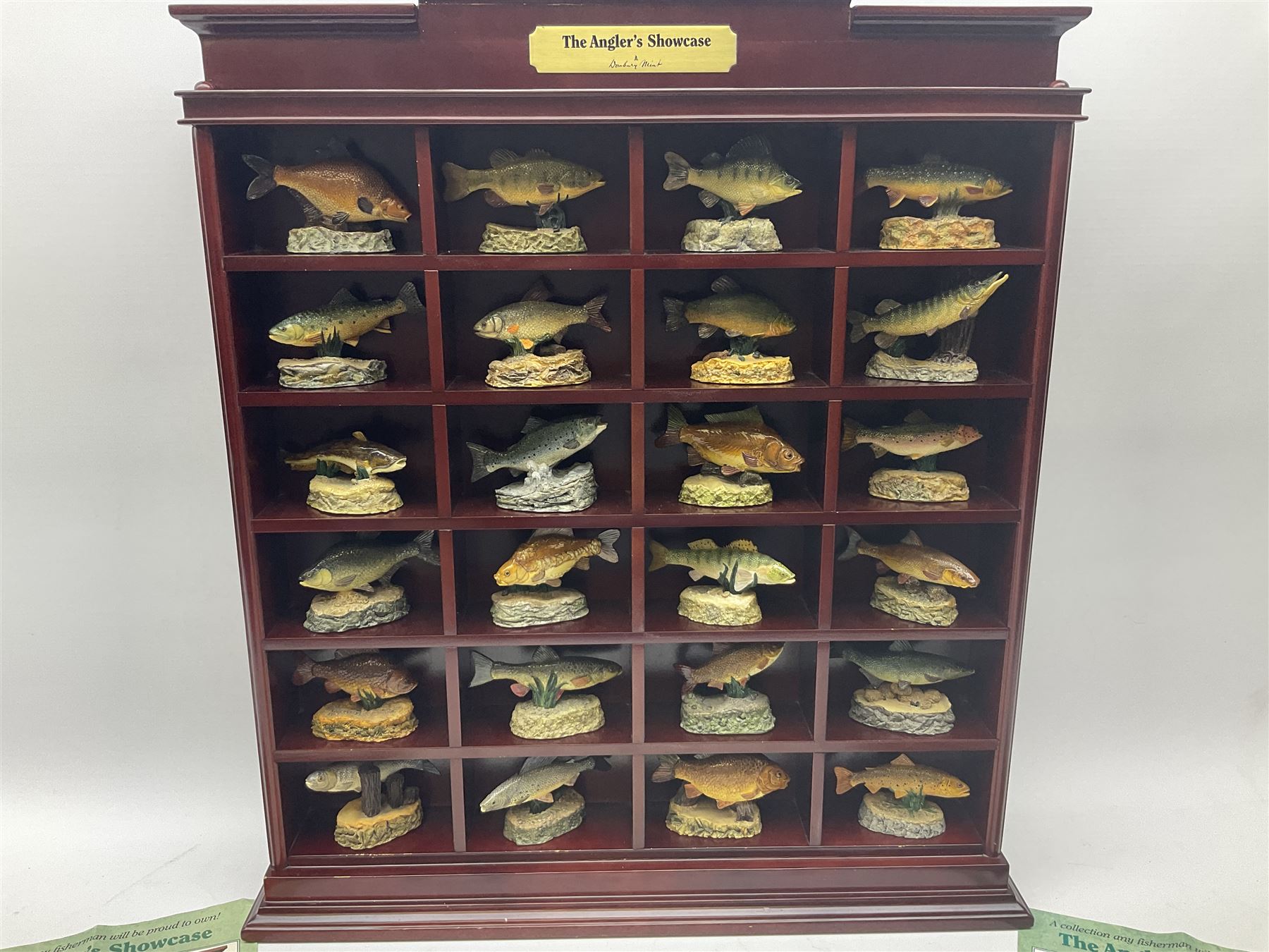 Twenty Four Danbury Mint models of fish, The Angler's Showcase, each with accompanying information card, in wooden wall mounted display shelf, with title plaque, display shelf H61cm L54cm