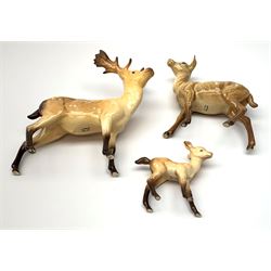 A Beswick family group, comprising stag, doe, and fawn, each with printed mark beneath, largest H20.5cm.
