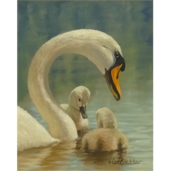  Alan Bradshaw (Irish 1936-): 'Swan and Cygnets', oil on canvas signed 29cm x 23cm Provenance: with Gormley's Fine Art of Omagh & Belfast, label verso  DDS - Artist's resale rights may apply to this lot   