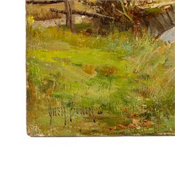 Owen Bowen (Staithes Group 1873-1967): Stone Bridge in the Lake District, believed to be Bassenthwaite, oil on canvas laid on to board signed 30.5cm x 45.5cm (unframed)