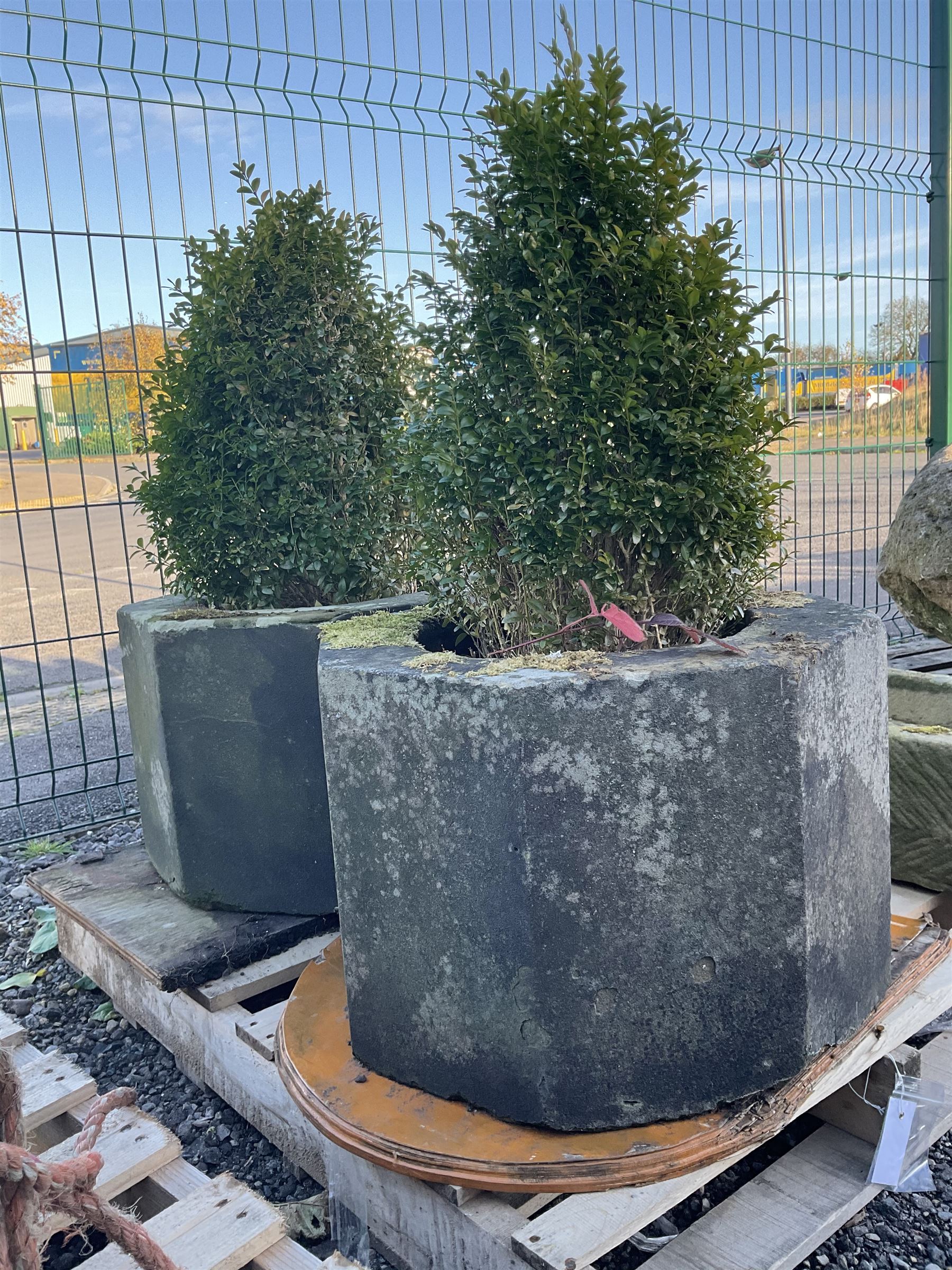 Pair of octagonal composite planter linings, planted - THIS LOT IS TO BE COLLECTED BY APPOINTMENT FROM DUGGLEBY STORAGE, GREAT HILL, EASTFIELD, SCARBOROUGH, YO11 3TX