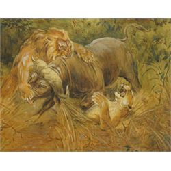 Raymond John Vandenbergh (1889-1960): Lions Attacking a Buffalo, watercolour signed and da...