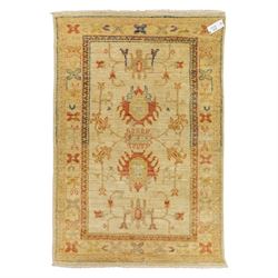Cream ground prayer rug, with red and blue stylised motifs within a broad floral border, t...