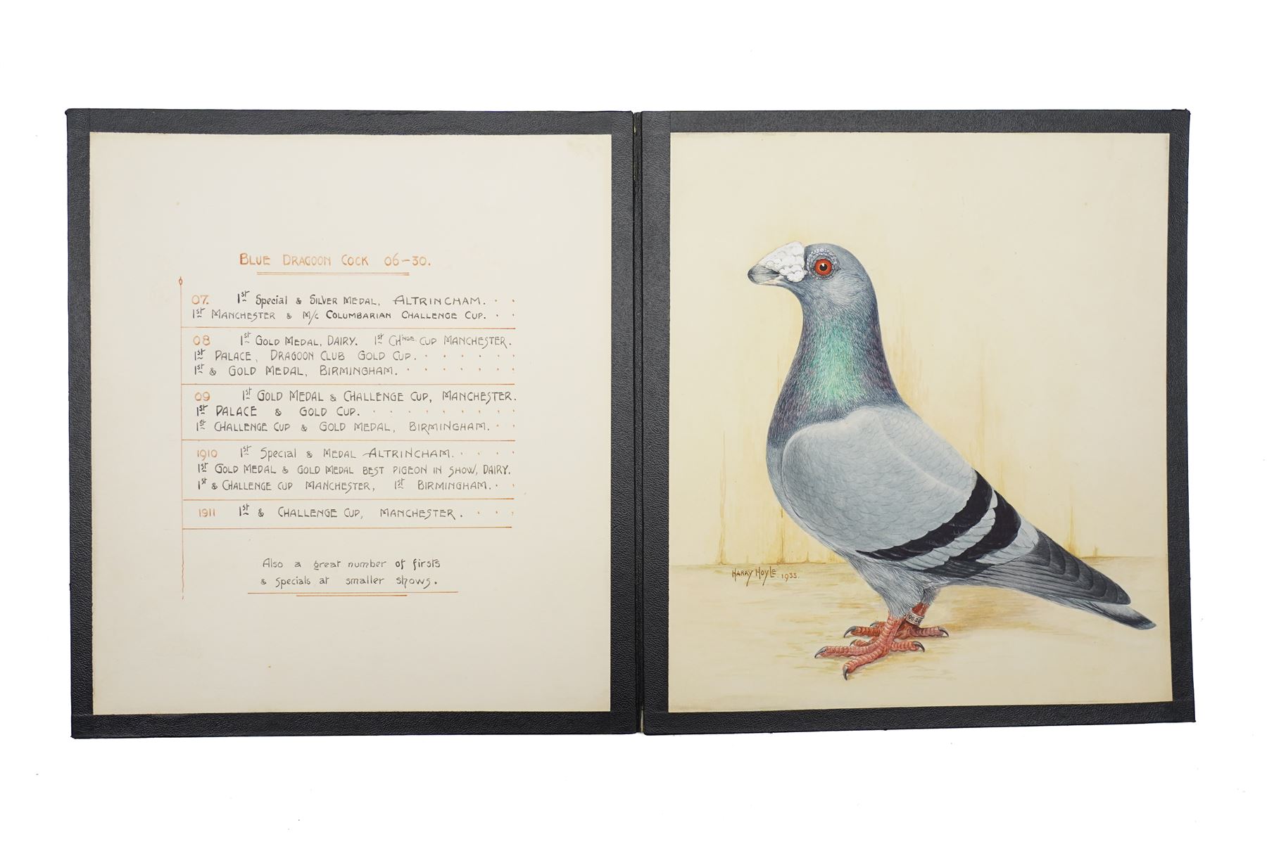 Harry Hoyle (Early 20th Century): Racing Pigeons - 'Blue Dragoon Cock 06-30' 'Blue Dragoon Hen 33-3330' and 'Blue Dragoon Cock 1918-22', set of three pencil and watercolours heightened with white, each signed and dated 1933 or 1934, accompanied with the winning history of each pigeon, each approx. 20.5cm x 18cm (3)