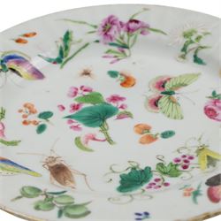 19th century Chinese famille rose plate, enamelled with fruits and flowers, crickets, butterflied and other insects, D20cm