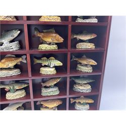 Twenty Four Danbury Mint models of fish, The Angler's Showcase, each with accompanying information card, in wooden wall mounted display shelf, with title plaque, display shelf H61cm L54cm
