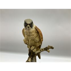 Country Artists figure of a peregrine falcon ' Lord of the Skies ' by David Ivey, limited edition, H44cm, together with two Sherratt and Simpson figures, both of peregrine falcons perched on branches. 