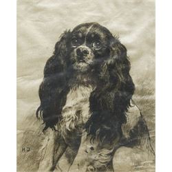 Herbert Dicksee (British 1862-1942): 'Bonnie Prince Charlie - A King Charles Spaniel', drypoint etching on vellum signed in pencil pub. Fine Art Society 1902, 27cm x 22cm