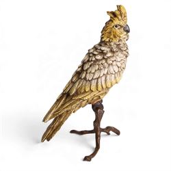 After Franz Bergman cold painted bronze model of a Cockatoo on a on a naturalistic perch b...