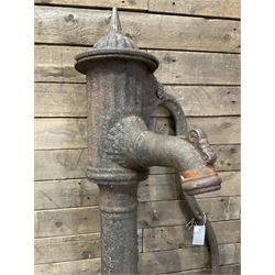 19th century cast iron water pump, lion crest with registration mark