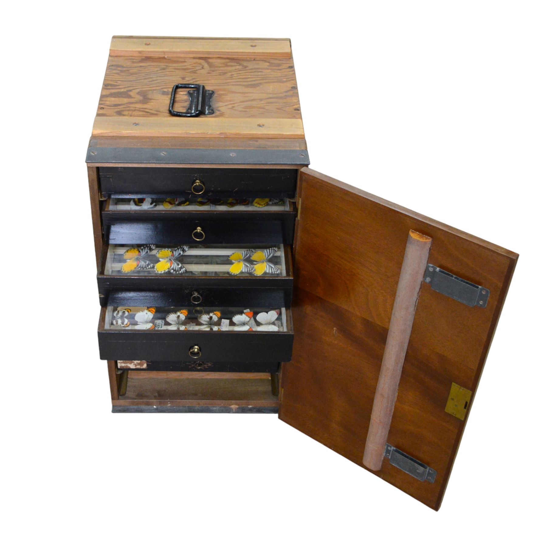 Entomology; Over one hundred butterfly specimens, mainly Delius  and African Colotis, including Delias Pheres, Delias ladas, Delias Iltis etc, housed within British Natural History Museum wartime cabinets with seven double glazed draws together with two illustrated books of the genus Dalius of the World, in Japanese with coloured plates of specimens and habitat images
The cabinets were used to house the entire collection of insects from the British Natural History Museum, which in turn were removed from the Museum to a safe place away from the London Blitz during World War Two, there were eight draws to each cabinet which had handles on the top for ease of lifting and transportation.They have adjustable corked wood slats so as to accommodate various size insects (Wing Spans etc), whilst keeping them in neat rows
