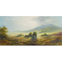 Mike Nance (British Contemporary): Morning Mist, oil on board signed 30cm x 60cm