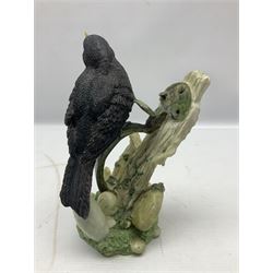 Two Border Fine Arts figures, comprising Badgers and Blackbird, together with Beswick bay shire horse no 818 and another figure