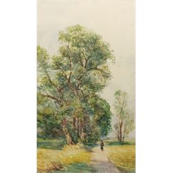 English School (Early 20th century): Figure on a Country Lane, watercolour indistinctly signed 48cm x 28cm