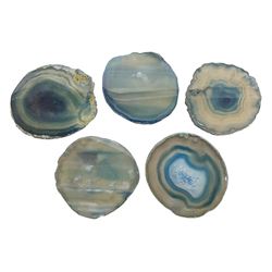 Five blue agate slices, polished with rough edges, H9cm, L7cm