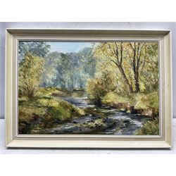 Sheila G Johnson (nee Spence) (British 20th century): 'Spring on Broad Beck' Thirsk, oil on canvas signed, titled on label verso 40cm x 60cm 
Notes: Sheila was the wife of Thornton-le-Dale artist Ken Johnson.