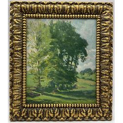 Frank Griffith (British 1889-1979): Study of Trees, oil on board, signed with initials verso with a further landscape sketch 39cm x 32cm 
Notes: Griffith studied and associated some of the leading artists of his day, including Paul Signac, Walter Sickert, and Charles Ginner.