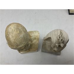 Italian bust of Napoleon Bonaparte, signed G. Ruggeri, together with three other busts, tallest H23cm