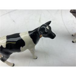 Seven Beswick cow figures, to include Friesian bull Ch. ''Coddington Hilt Bar'' no. 1439a, Friesian cow Ch. 'Claybury Leegwater' no. 1362a and Friesian calf no. 1249C, Aberdeen Angus calf 1827a, Jersey cow no. 1345 etc, all with printed mark beneath  