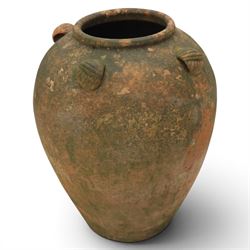 Large 20th century weathered terracotta urn, of ovoid form with four loop handles to shoulder, H61cm