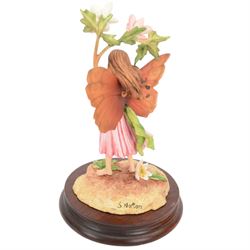 Nine Border Fine Arts Fairies figures, to include Jasmine fairy B0415, The White Bindweed Fairy CF26, Holly Fairy B0417,Wild Cherry Fairy CF25, Strawberry Fairy B0115, The Wind-Flower Fairy B0847, and Narcissus Flower Fairy CF24