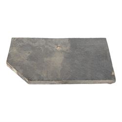 Fossilised reptile Keichosaurus hui, age; Triassic Period, Location Henana Province China, specimen L18cm   