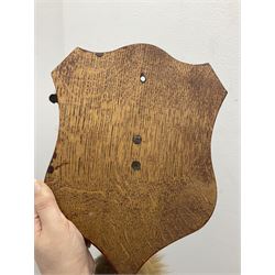 Taxidermy; Red fox mask (Vulpes vulpes), with mouth agape bearing teeth, mounted upon oak shield, with brush, shield L26cm