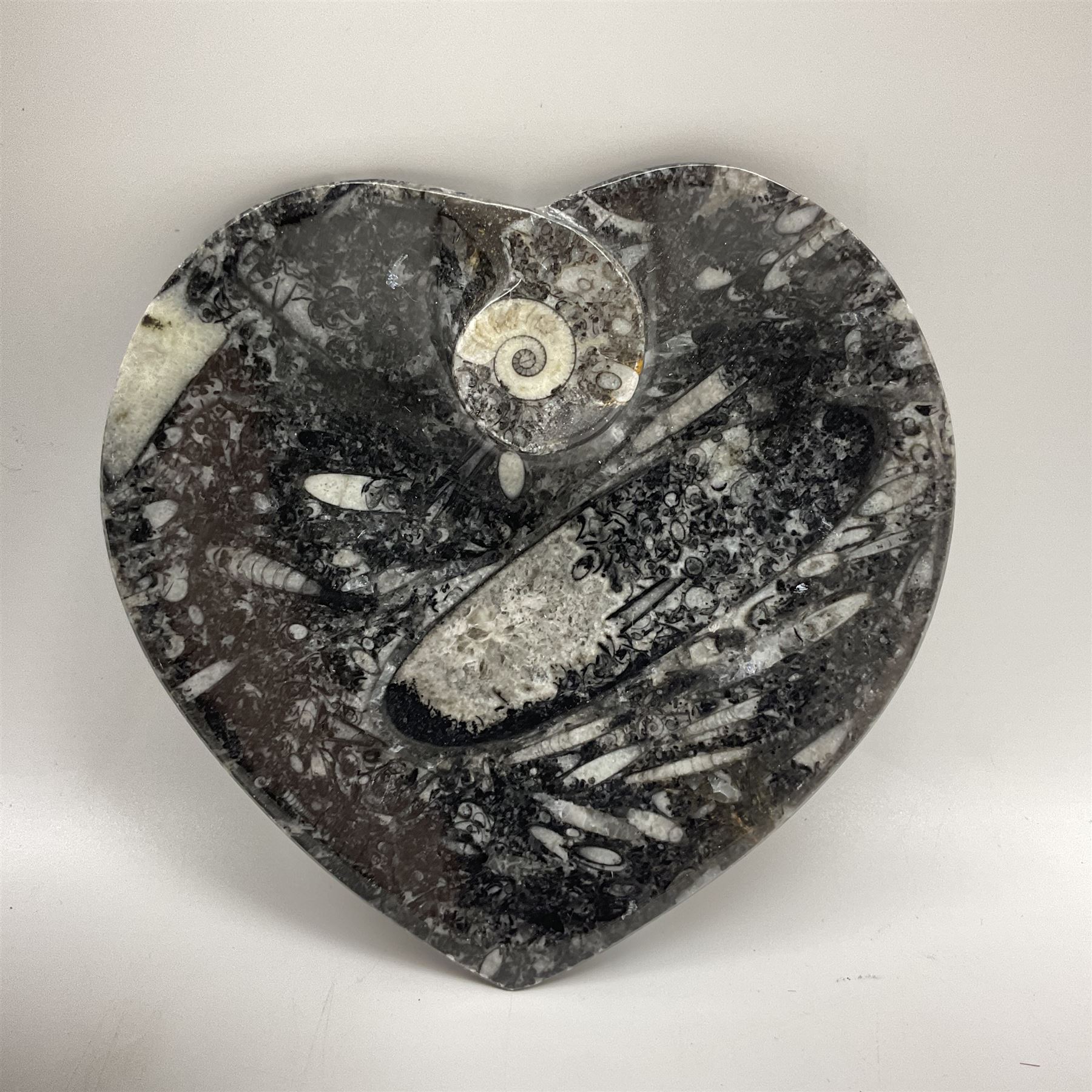 Three piece desk set, comprising letter rack, dish and box with raised Orthoceras to the lid, all with Orthoceras and Goniatite inclusions, age: Devonian period, location: Morocco