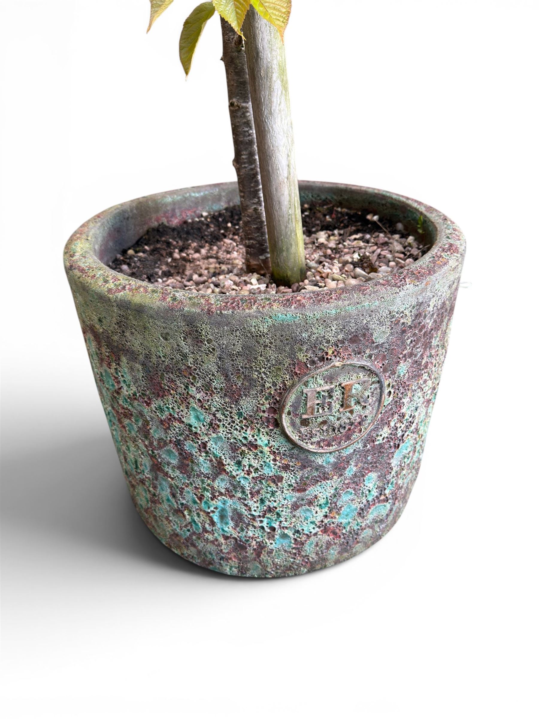 Pair of mature ornamental cherry trees, planted in lead-effect planters stamped ER