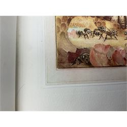 Maurice Maeterlinck: 'The Life of the Bee', illustrated E.J. Detmold, 13 mounted coloured plates, pub. Geo. Allen & Co. Ltd. London, 1911,