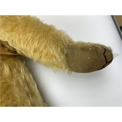 Merrythought Hygienic Toys large 'Magnet' teddy bear c1930s with plush body, swivel jointed head with glass eyes and vertically stitched nose and mouth and jointed limbs,  celluloid wishbone button to right ear and stitched label under right pad H22