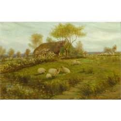  William Henderson of Whitby (British 1844-1904): 'Sheep grazing at Water Ark Farm Goathland', oil on canvas signed, titled verso 29cm x 44cm Notes: Friars Close is now on the site of Water Ark farm   