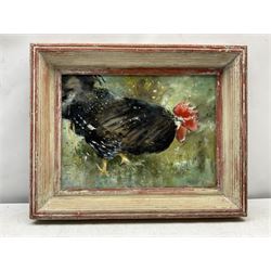 J Crawley (British 20th century): Study of a Black Hen, oil on board unsigned 28cm x 38cm
Provenance: from the Iris Collett artist's studio collection. Crawley was a fellow artist and friend of Iris Collett