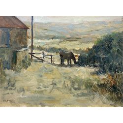 Christine M Pybus (British 1954-): Pony in the Farmyard, oil on board signed, dated 1999 verso 16cm x 22cm