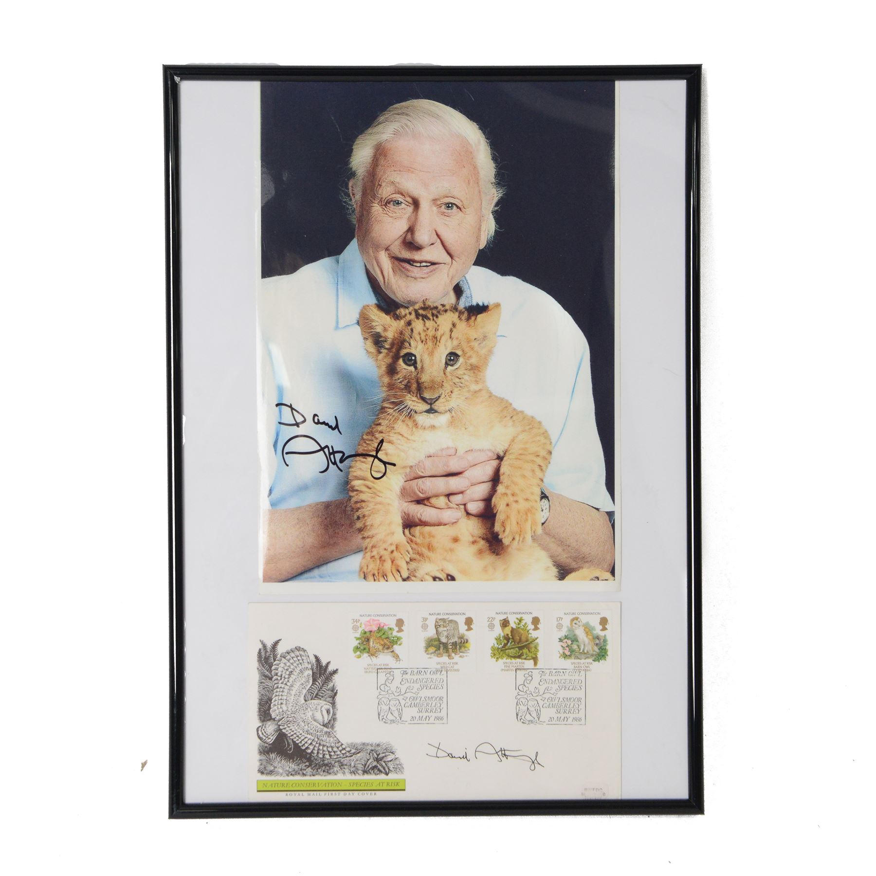 Signed David Attenborough photograph and a signed Nature Observation Species At Risk first day cover, framed H43cm
