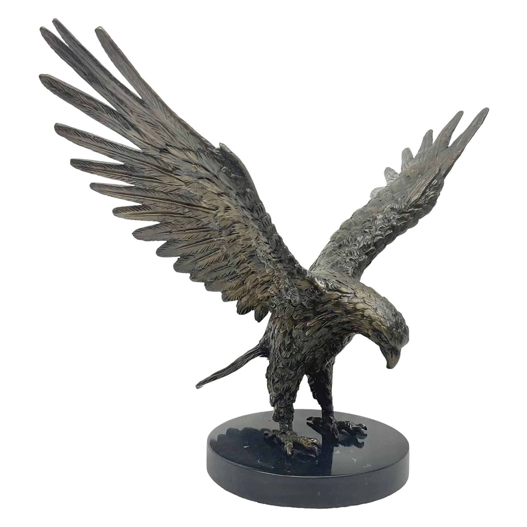 Bronze eagle, modelled in a standing position with wings spread, raised on a black veined marble circular plinth base, H29cm